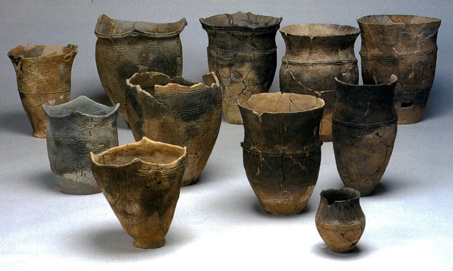 🏛️ 요코하마시 역사박물관 이미지 3